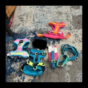 Wild One ❤︎ Isaac Mizrahi Harness, Collar, Leash, Poop Bag Holder